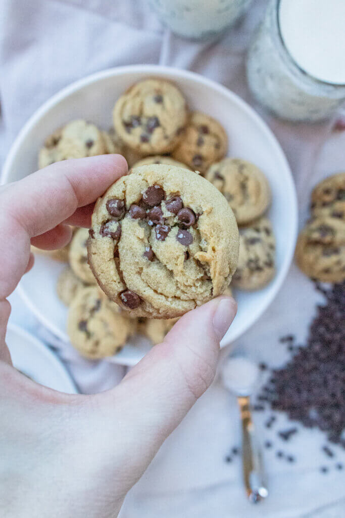 close up of mini chocolate chip cookies