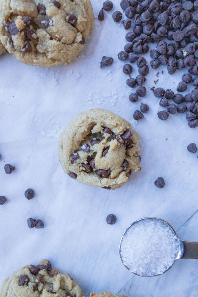 single mini chocolate chip cookies with chocolate chips