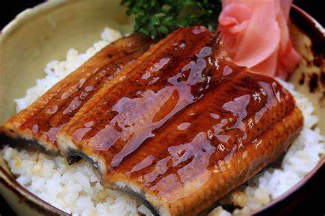 e oods: eel in sauce