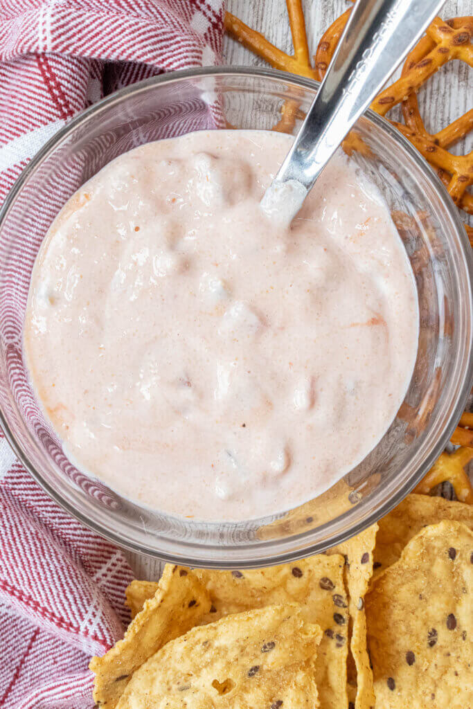 simple salsa yogurt dip with chips