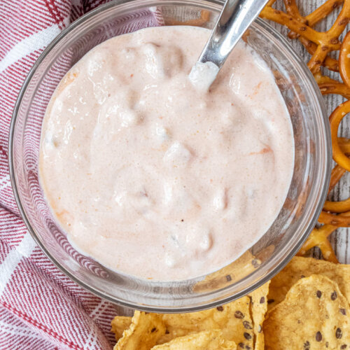 creamy yogurt salsa dip with chips