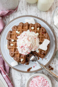 Hot Chocolate Waffles with Whipped Cream