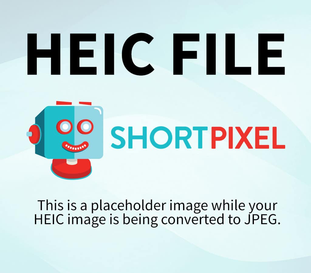 Halloween spider uncrustables with one eye