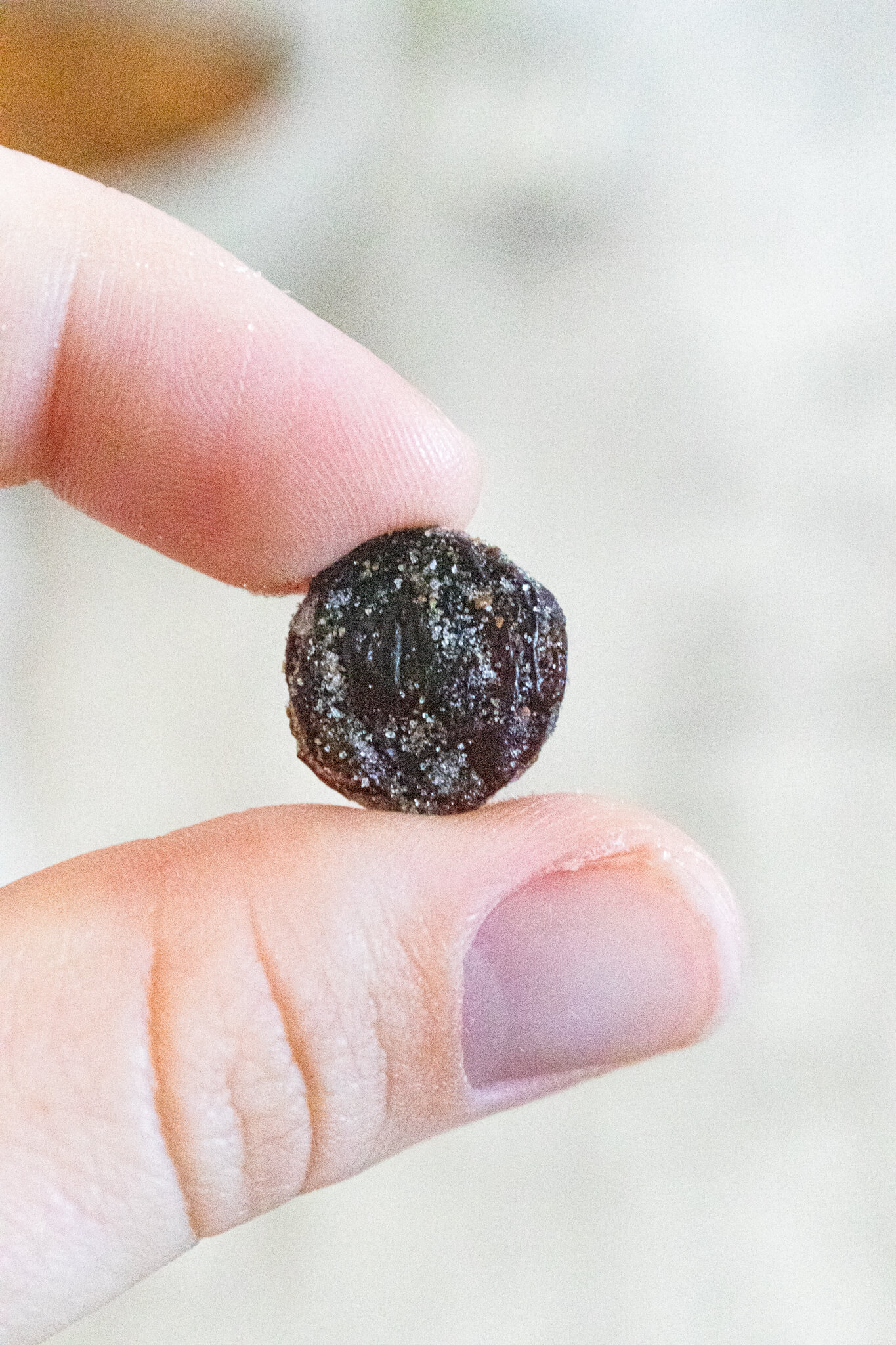 Coated raisin